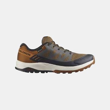 Picture of SALOMON OUTRISE GTX